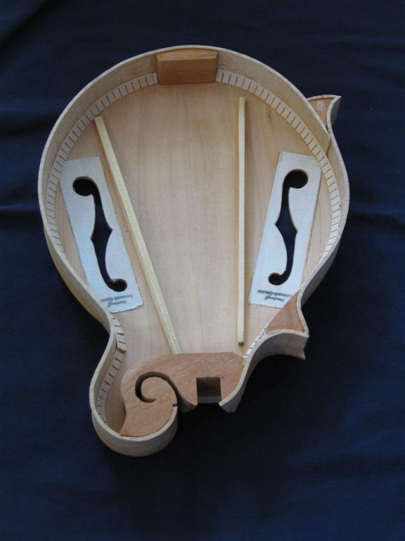 Mandolin Building Kits At Genevieve Farr Blog